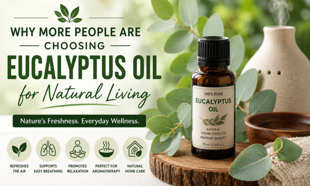 Why More People Are Choosing Eucalyptus Oil for Natural Living Eucalyptus oil for wellness and relaxation