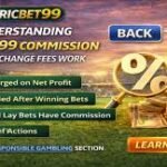 Basketball Analytics 101: Reading Advanced Player Stats online gaming