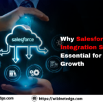 Salesforce Integration Services