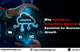 Salesforce Integration Services