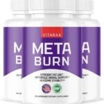 Yoga Studio Austin for Beginners and Experienced Practitioners MetaBurn