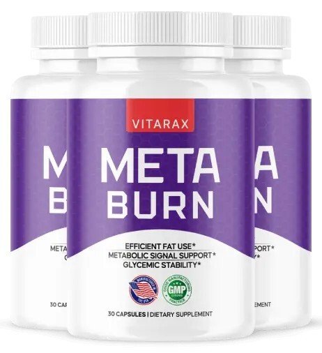 MetaBurn Wellness Support Guide 2026 MetaBurn